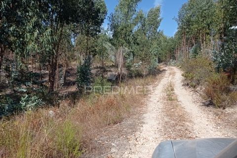 Terra a Gaviao, Portalegre, Gaviao - € 90.000 | Ref: 046553 - foto 3