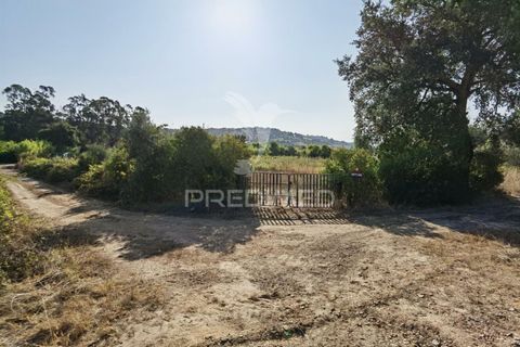 Helårsgrund i Alcanena, Santarem, Alcanena - € 24.000 | Ref: 046881 - foto 1