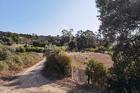 Helårsgrund i Alcanena, Santarem, Alcanena - € 24.000 | Ref: 046881 - foto 2