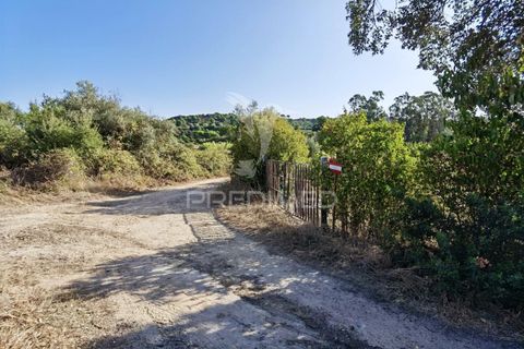 Helårsgrund i Alcanena, Santarem, Alcanena - € 24.000 | Ref: 046881 - foto 3