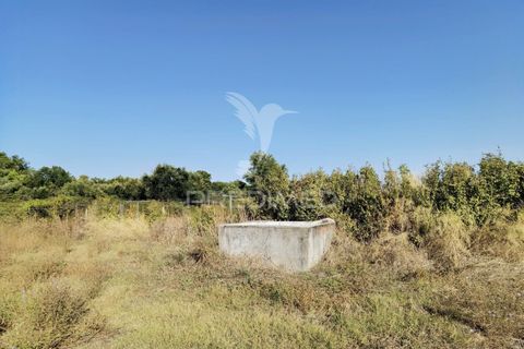 Helårsgrund i Alcanena, Santarem, Alcanena - € 24.000 | Ref: 046881 - foto 4