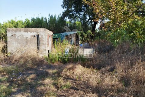 Helårsgrund i Alcanena, Santarem, Alcanena - € 24.000 | Ref: 046881 - foto 6