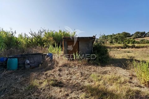 Helårsgrund i Alcanena, Santarem, Alcanena - € 24.000 | Ref: 046881 - foto 7