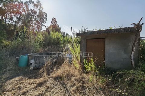 Helårsgrund i Alcanena, Santarem, Alcanena - € 24.000 | Ref: 046881 - foto 8