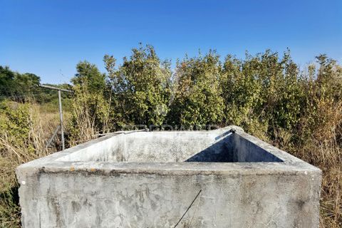 Helårsgrund i Alcanena, Santarem, Alcanena - € 24.000 | Ref: 046881 - foto 9