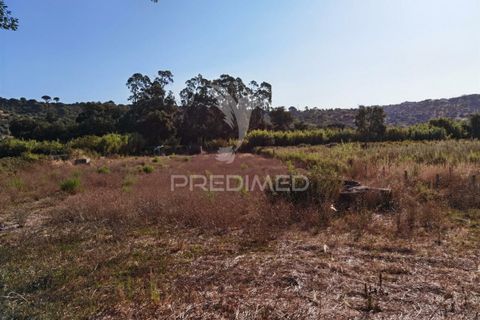 Helårsgrund i Alcanena, Santarem, Alcanena - € 24.000 | Ref: 046881 - foto 12