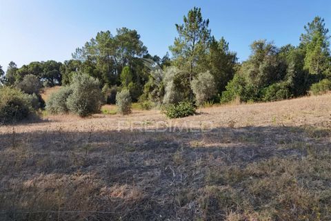 Helårsgrund i Alcanena, Santarem, Alcanena - € 24.000 | Ref: 046881 - foto 13