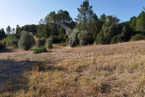 Helårsgrund i Alcanena, Santarem, Alcanena - € 24.000 | Ref: 046881 - foto 14