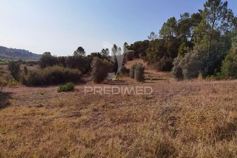 Helårsgrund i Alcanena, Santarem, Alcanena - € 24.000 | Ref: 046881 - foto 15
