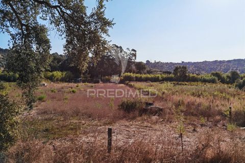 Helårsgrund i Alcanena, Santarem, Alcanena - € 24.000 | Ref: 046881 - foto 16