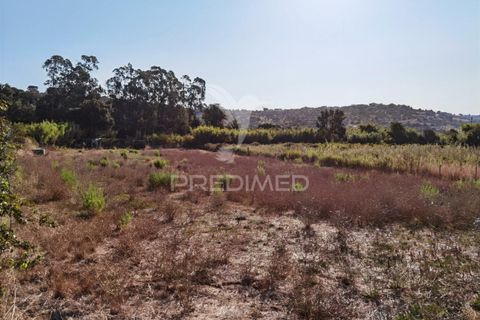 Helårsgrund i Alcanena, Santarem, Alcanena - € 24.000 | Ref: 046881 - foto 17