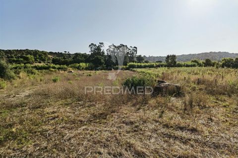 Helårsgrund i Alcanena, Santarem, Alcanena - € 24.000 | Ref: 046881 - foto 18