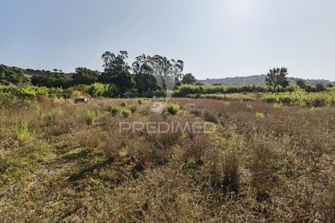 Helårsgrund i Alcanena, Santarem, Alcanena - € 24.000 | Ref: 046881 - foto 19