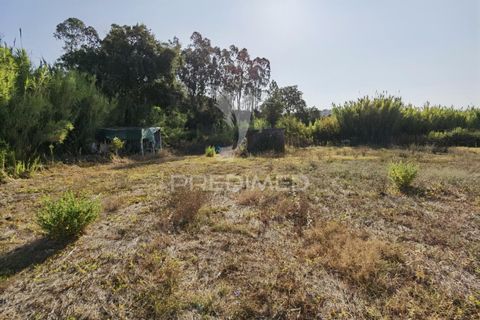 Helårsgrund i Alcanena, Santarem, Alcanena - € 24.000 | Ref: 046881 - foto 20