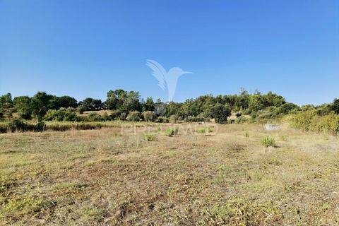 Helårsgrund i Alcanena, Santarem, Alcanena - € 24.000 | Ref: 046881 - foto 21