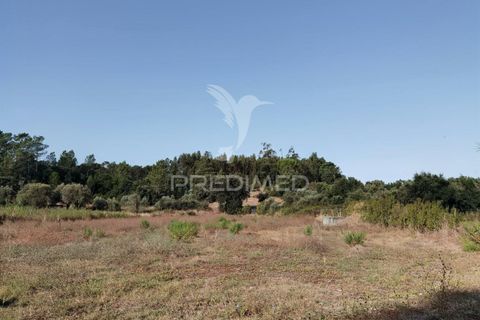 Helårsgrund i Alcanena, Santarem, Alcanena - € 24.000 | Ref: 046881 - foto 22