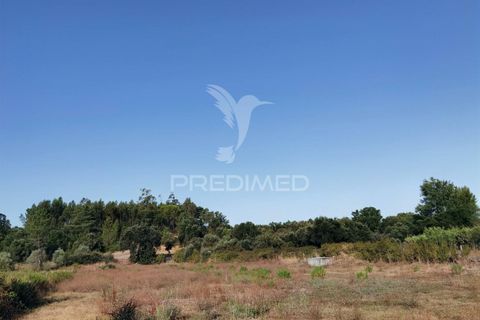 Helårsgrund i Alcanena, Santarem, Alcanena - € 24.000 | Ref: 046881 - foto 23
