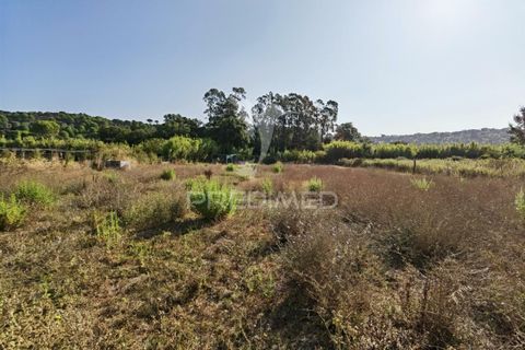 Helårsgrund i Alcanena, Santarem, Alcanena - € 24.000 | Ref: 046881 - foto 24