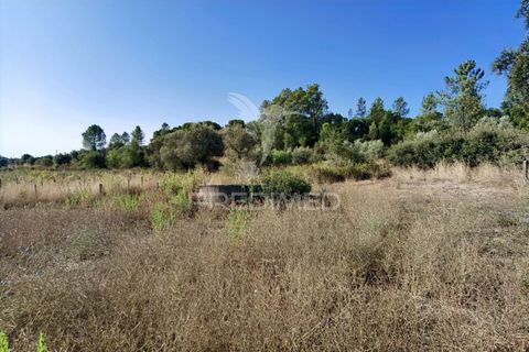 Helårsgrund i Alcanena, Santarem, Alcanena - € 24.000 | Ref: 046881 - foto 25