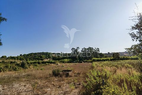Helårsgrund i Alcanena, Santarem, Alcanena - € 24.000 | Ref: 046881 - foto 26