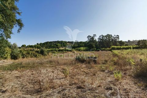 Helårsgrund i Alcanena, Santarem, Alcanena - € 24.000 | Ref: 046881 - foto 27