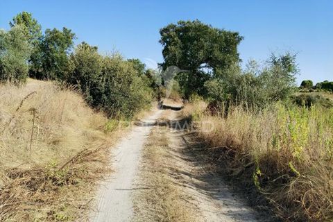 Helårsgrund i Alcanena, Santarem, Alcanena - € 24.000 | Ref: 046881 - foto 28