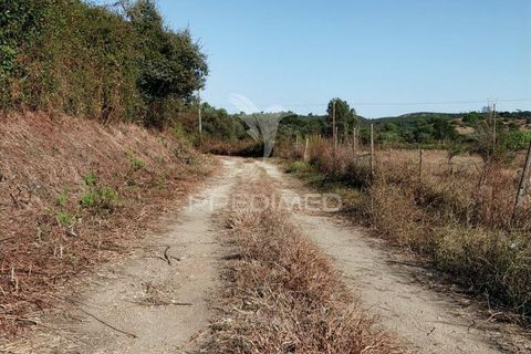 Helårsgrund i Alcanena, Santarem, Alcanena - € 24.000 | Ref: 046881 - foto 29