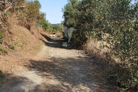 Helårsgrund i Alcanena, Santarem, Alcanena - € 24.000 | Ref: 046881 - foto 30