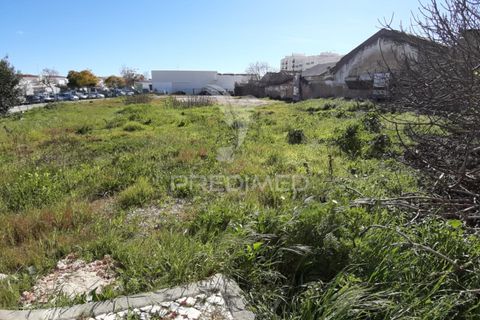 Helårsgrund i Olhao, Faro, Olhao - € 1.800.000 | Ref: 047060 - foto 7