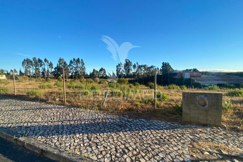 Helårsgrund i Rio Maior, Santarem, Rio Maior - € 42.000 | Ref: 047162 - foto 1