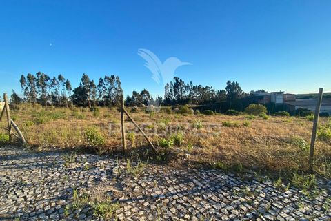 Helårsgrund i Rio Maior, Santarem, Rio Maior - € 42.000 | Ref: 047162 - foto 2