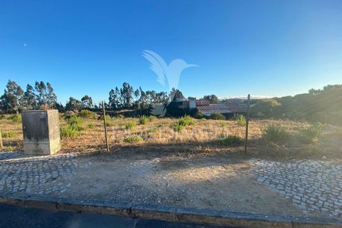 Helårsgrund i Rio Maior, Santarem, Rio Maior - € 42.000 | Ref: 047162 - foto 3