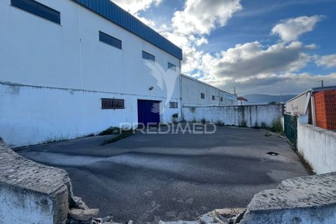 Erhvervsejendom i Alenquer, Lisbon, Alenquer - € 500.000 | Ref: 047217 - foto 25