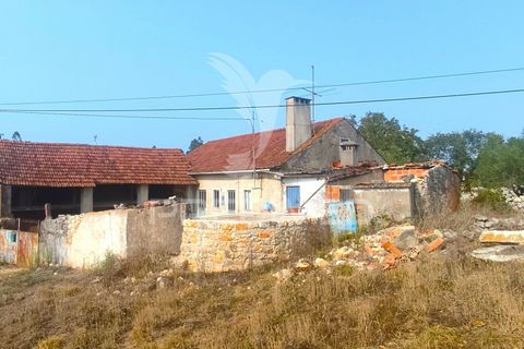 Byhus i Batalha, Leiria, Batalha - € 120.000 | Ref: 047242 - foto 2