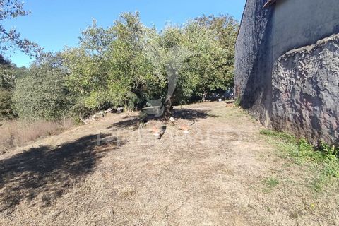 Byhus i Batalha, Leiria, Batalha - € 120.000 | Ref: 047242 - foto 11