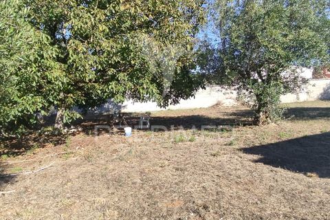 Byhus i Batalha, Leiria, Batalha - € 120.000 | Ref: 047242 - foto 12