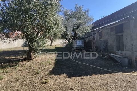Byhus i Batalha, Leiria, Batalha - € 120.000 | Ref: 047242 - foto 13
