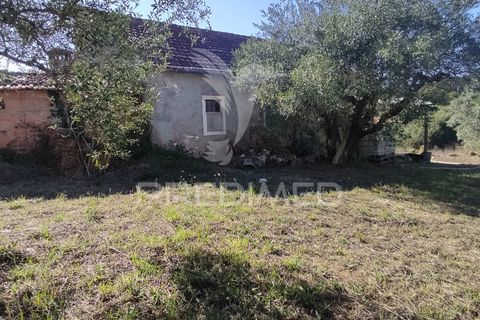 Byhus i Batalha, Leiria, Batalha - € 120.000 | Ref: 047242 - foto 15