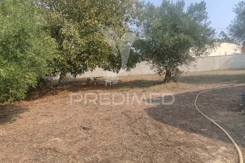 Byhus i Batalha, Leiria, Batalha - € 120.000 | Ref: 047242 - foto 16