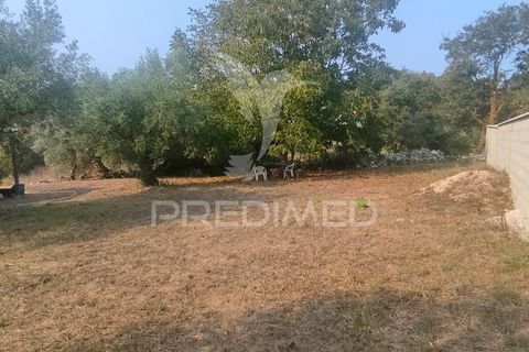 Byhus i Batalha, Leiria, Batalha - € 120.000 | Ref: 047242 - foto 17
