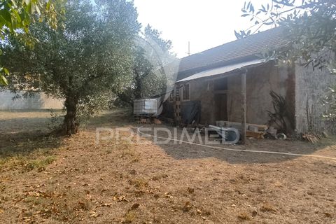 Byhus i Batalha, Leiria, Batalha - € 120.000 | Ref: 047242 - foto 18