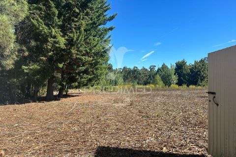 Helårsgrund i Ourem, Santarem, Ourem - € 39.000 | Ref: 047619 - foto 1