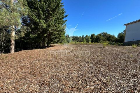 Helårsgrund i Ourem, Santarem, Ourem - € 39.000 | Ref: 047619 - foto 2