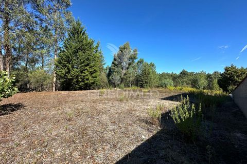 Helårsgrund i Ourem, Santarem, Ourem - € 39.000 | Ref: 047619 - foto 3