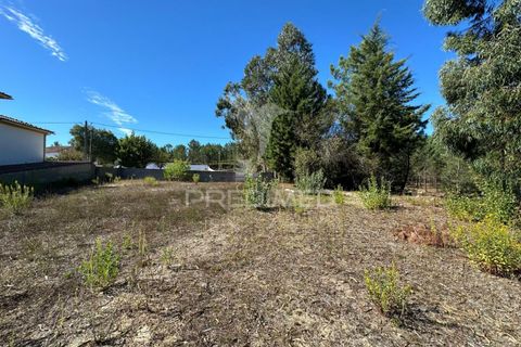 Helårsgrund i Ourem, Santarem, Ourem - € 39.000 | Ref: 047619 - foto 5