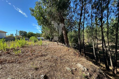 Helårsgrund i Ourem, Santarem, Ourem - € 39.000 | Ref: 047619 - foto 7