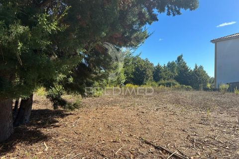 Helårsgrund i Ourem, Santarem, Ourem - € 39.000 | Ref: 047619 - foto 11
