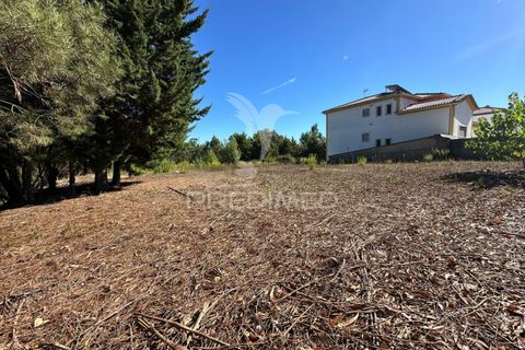 Helårsgrund i Ourem, Santarem, Ourem - € 39.000 | Ref: 047619 - foto 14