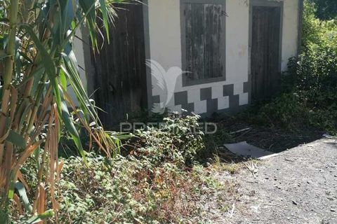 Byhus i Ribeira Brava, Madeira, Ribeira Brava - € 160.000 | Ref: 047943 - foto 1