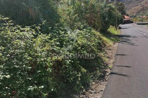 Byhus i Ribeira Brava, Madeira, Ribeira Brava - € 160.000 | Ref: 047943 - foto 3